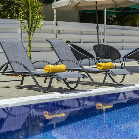 Alleli פרוטאראס